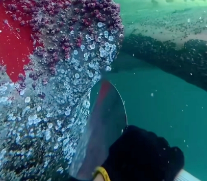 船舶海生物清理